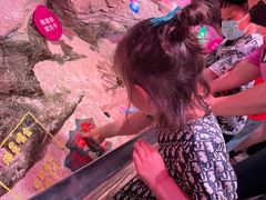 -沈阳海洋探索中心