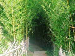 -竹子庵公园