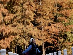 -上海海湾国家森林公园