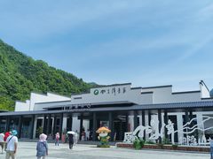 -石台牯牛降景区