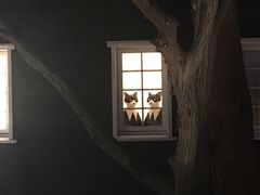 -三鹰之森吉卜力美术馆