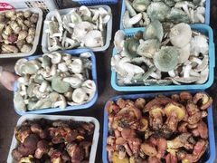 -五里多农博广场