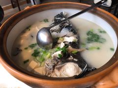 千岛湖招牌鱼头砂锅-姜君·千岛湖鱼头馆(浦东大道店)