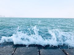 -海堤纪念公园