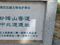 -阳台山自然风景区