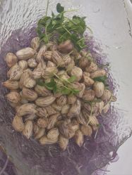 -鸿涛阁宴会中心