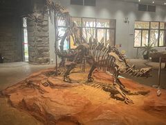 -自贡恐龙博物馆