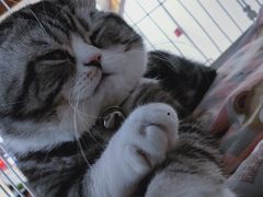 -正阳春烤鸭店(杨楼店)