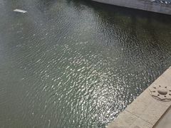 -赵州桥景区