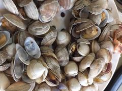 -港畔赶海蒸汽海鲜烧烤自助(仙螺岛店)