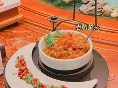 老醋蛰头-通庆楼(新开路店)