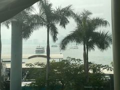 -厦门邮轮中心厦鼓码头(轮渡站)