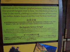 -河川生态园