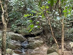 -火炉山森林公园