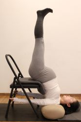 点击看大图 -Y+U遇瑜伽·普拉提