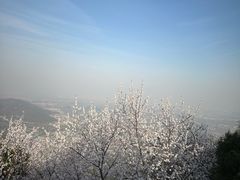 -香山公园