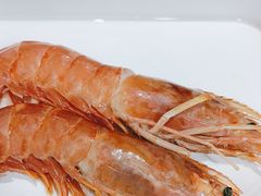 -铭记蛙小仙·活蛙畅享(CBD万达广场店)