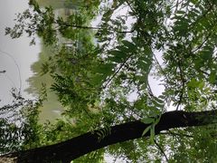 -九里河湿地公园
