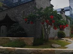 -科兴科学园
