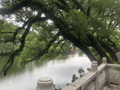 -潮镇老尾牛杂(环城西路店)