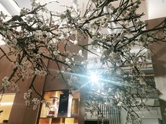 -梅花境(万科店)