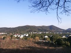 -香雪海