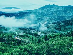 -紫鹊界梯田景区