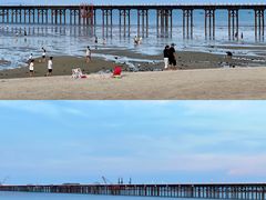 -巨鹏飞梦幻海岸