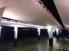 -演武大桥观景平台