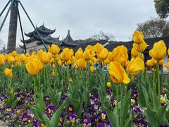 -苏州上方山国家森林公园