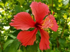 -南宁花花大世界景区