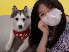 -Husky Go! 哈士奇体验馆·宠物咖啡厅狗咖