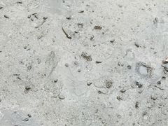 -北海金海湾红树林生态旅游区