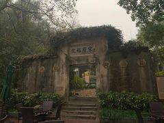-十八棵（老龙井）御茶园(老龙井店)