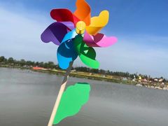 -荷兰花海