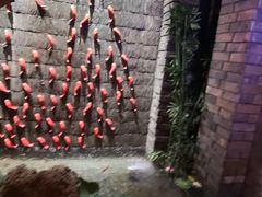 -小龙坎老火锅(鹤伴一路店)