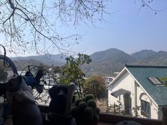 -马灯部落·西湖边的创意山景餐厅(虎跑动物园店)