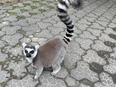-宁波野生动物园