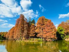 -中国科学院华南植物园