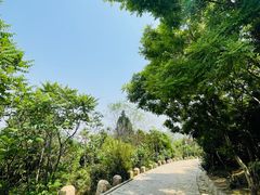 -南翠屏公园