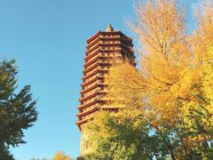 -玲珑塔公园