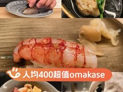 -焘