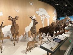 -陕西自然博物馆