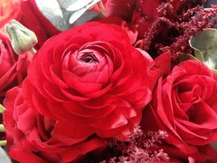 -月下料理(楷林IFC店)