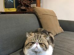 -参差咖啡(水果湖公园店)