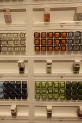 -THE COLORIST调色师