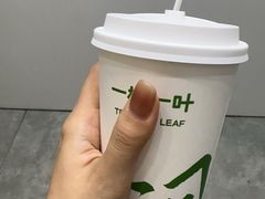-一树一叶·福建茶档(石鼓路店)