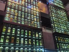 -广东中医药博物馆