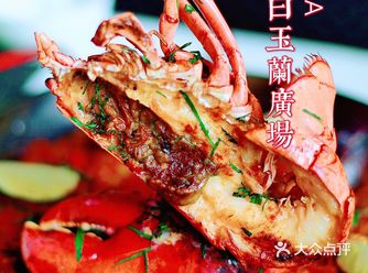 今夏遛娃必打卡!上海白玉兰广场最火“爬宠展”和宝藏餐饮