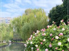-中央公园(苏州工业园区)